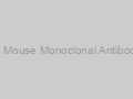 GAPDH Mouse Monoclonal Antibody (2B5)